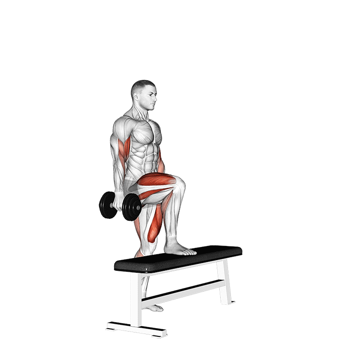 dumbbell step up single leg balance with bicep curl demonstration