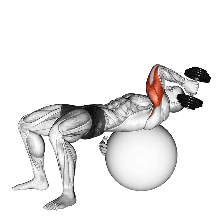 dumbbell one arm french press on exercise ball demonstration