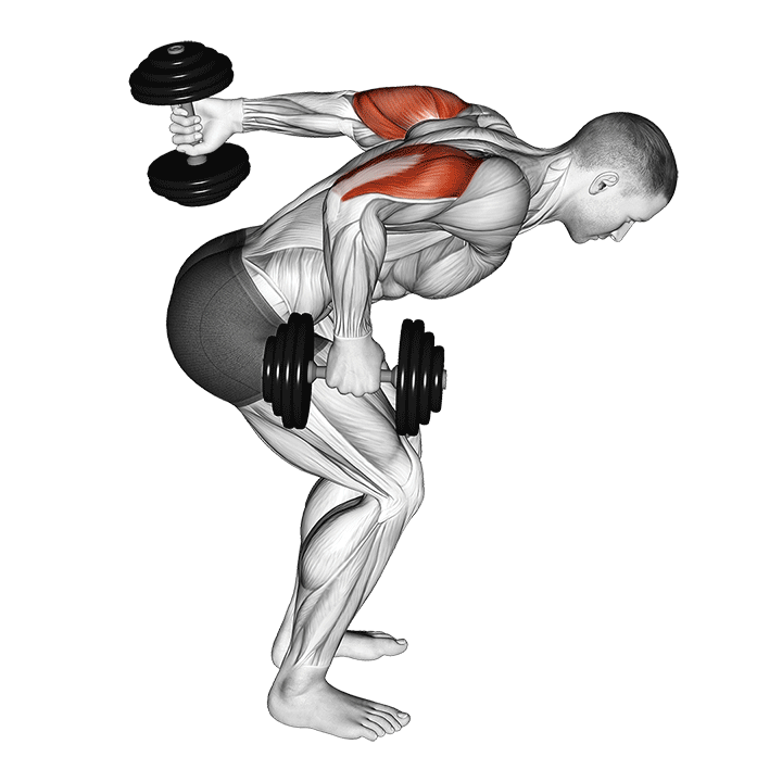 dumbbell standing alternating tricep kickback demonstration