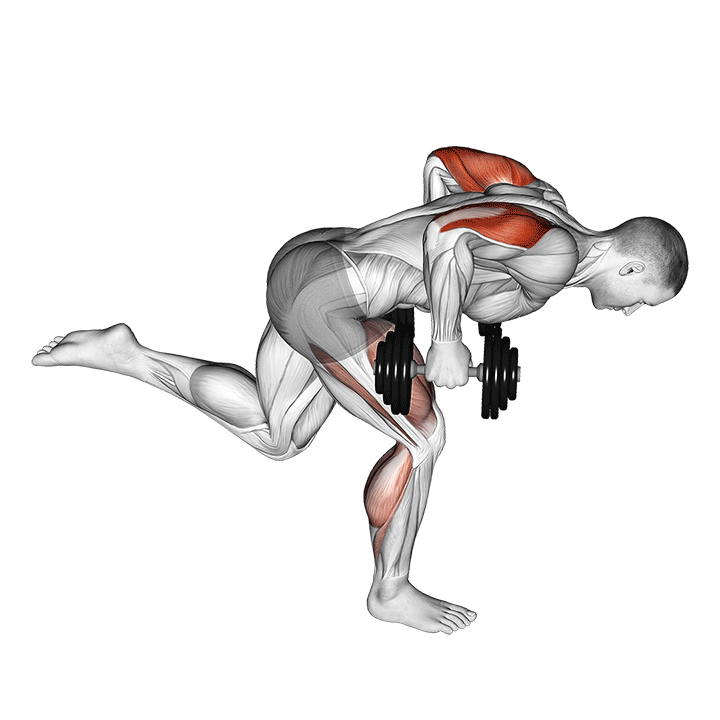 dumbbell tricep kickback with stork stance demonstration