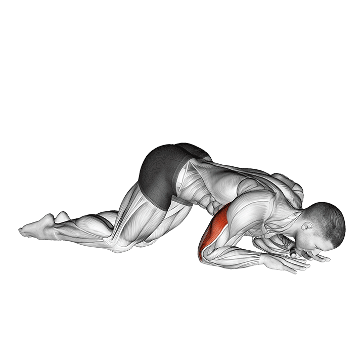 bodyweight kneeling triceps extension demonstration