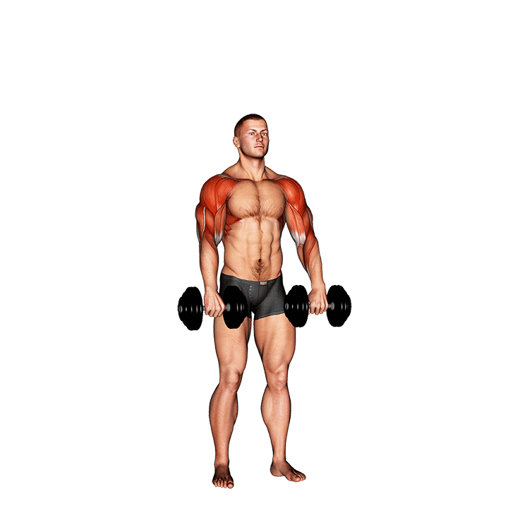 dumbbell cuban press v. 2 demonstration