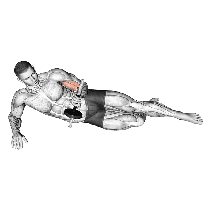 dumbbell lying supination on floor demonstration