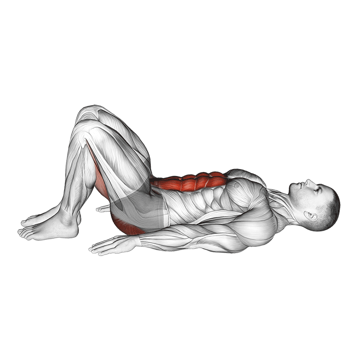 pelvic tilt demonstration