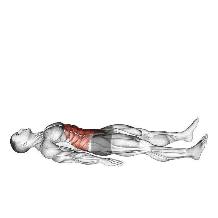 half sit-up (male) demonstration