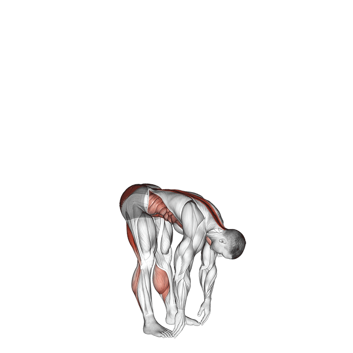 Toe Touches demonstration