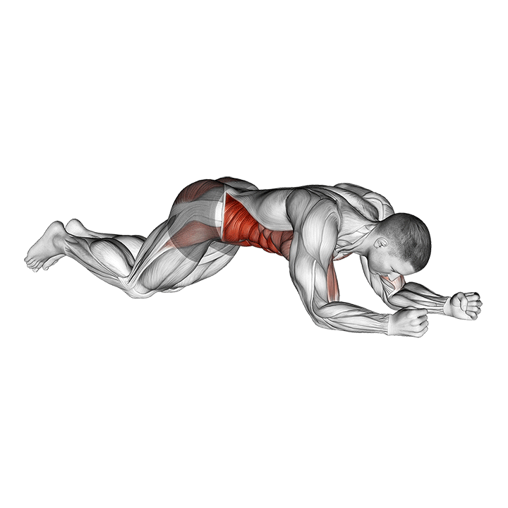 kneeling plank tap shoulder (male) demonstration