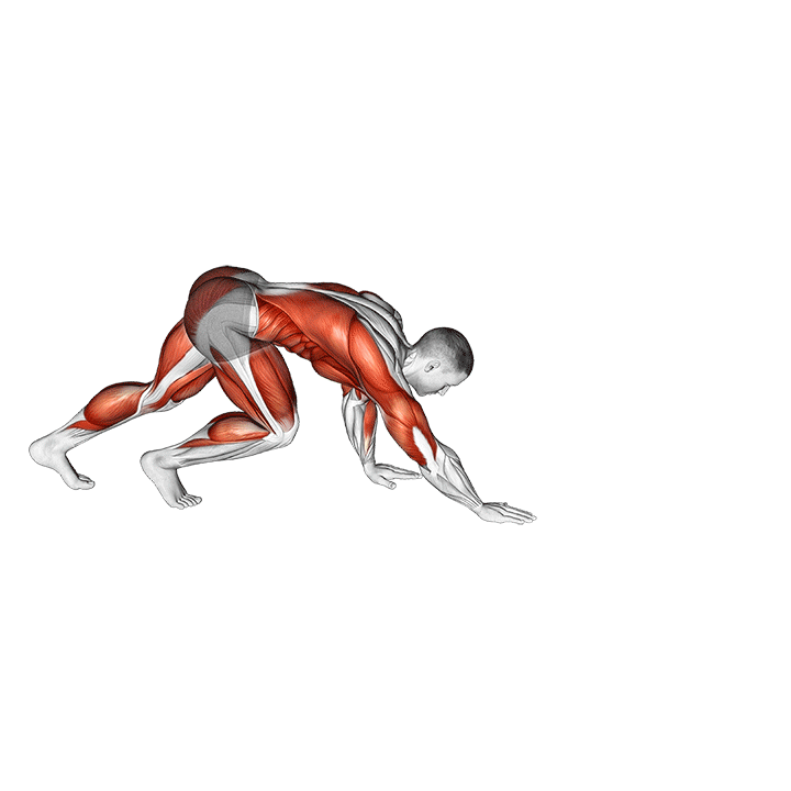 Bear Crawl Hold demonstration