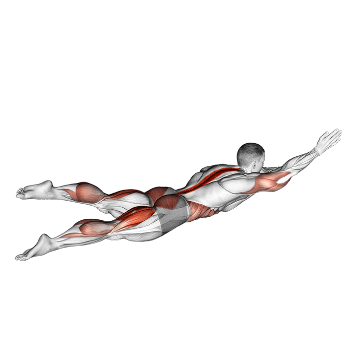 swimmer kicks v. 2 (male) demonstration