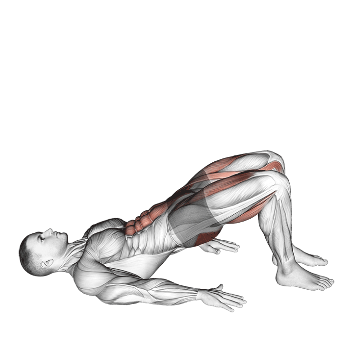 Single-Leg Glute Bridge demonstration