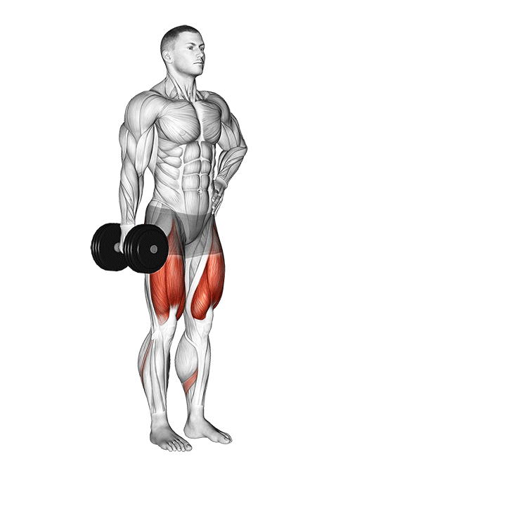 dumbbell contralateral forward lunge demonstration